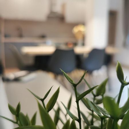 Apartma Bella Nadiza Kobarid Exteriér fotografie